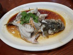 清蒸鲈鱼-绿江春(长江街店)