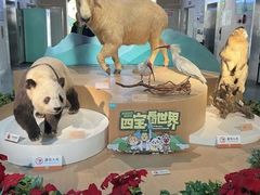 -陕西自然博物馆