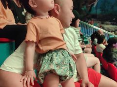 -华夏文旅海洋公园