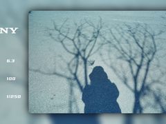 -火炉山森林公园