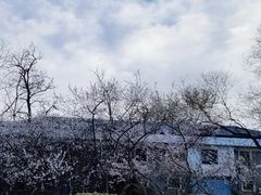 -什刹海