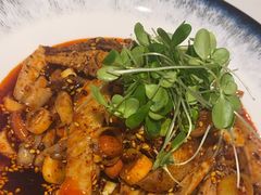 -院8里·少城记忆老川菜(宽窄巷子店)