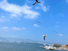 -海埂大坝