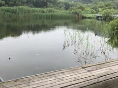 -西湖风景区-江洋畈生态公园