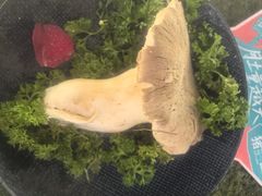 -芸山季·云南山珍菌火锅(南翔印象城MEGA店)