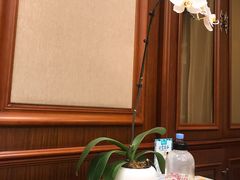 -子霖南山鲜虾面(南山总店)