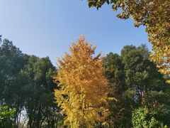 -后襄河公园