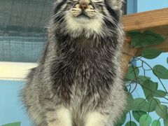 -青藏高原野生动物园