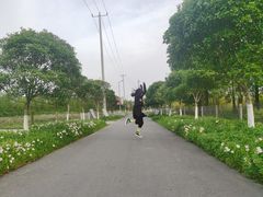 -上海长兴岛郊野公园