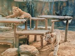 -北京野生动物园