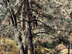 -森林公园(尖草坪区)