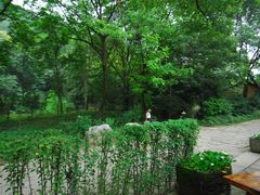 -法云古村