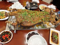 -杨正宗烤全羊(北二环店)