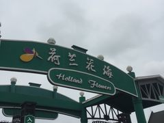 -荷兰花海