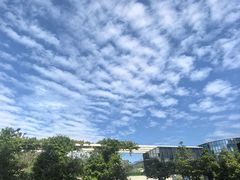 -真功夫(中大五院店)