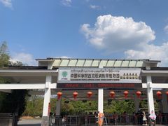-中国科学院西双版纳热带植物园