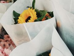 -循礼门鲜花花市(武汉循礼门店)