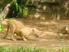 -北京野生动物园
