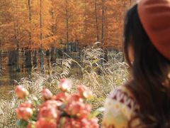 -白鹭湾湿地公园