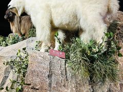 -陕西自然博物馆