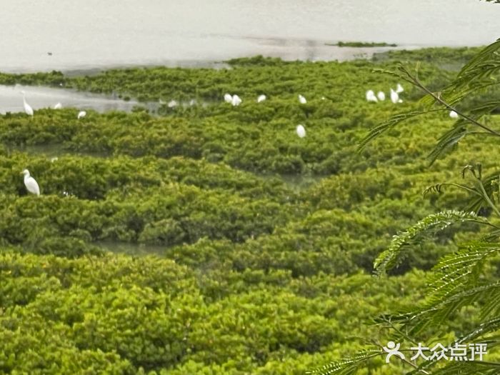 洛阳桥图片