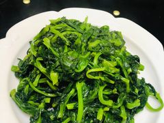 有机豆苗-东江海鲜酒家(艺都分店)