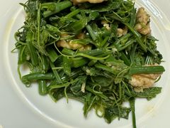 丝瓜苗拌桃仁-凯鸽酒楼•雁北民间菜(华北星店)