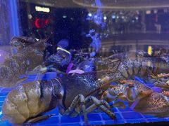 -喜记顺德菜(南昌万象城店)