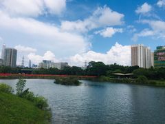-福田红树林生态公园