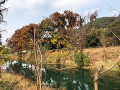 -烧货·活海鲜炭烧(湖滨商业街店)