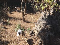 -昆明动物园