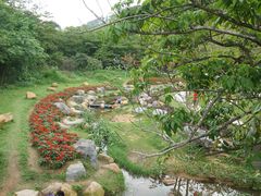 -黄埔油麻山森林公园
