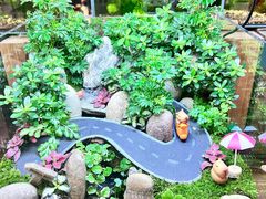 -枫蓝国际购物中心