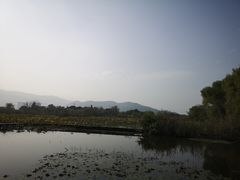 -长兴太湖图影湿地文化园