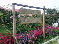 意大利农场-意大利农场度假村