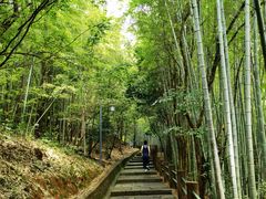 -敬亭山风景名胜区