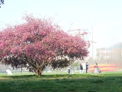 -汇泉广场