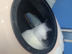 -美联众合动物医院(·中兽医·疑难杂症·严家桥分院)