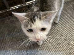 -蒲黄榆(地铁站)