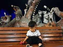 -清迈夜间动物园