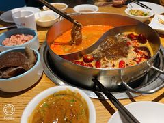 -青瓷火锅料理(西单大悦城店)