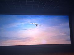 -华美国际影城(旧宫永辉店)