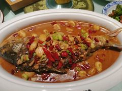 -阿五黄河大鲤鱼(纬三路店)