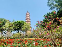 -广州莲花山旅游区
