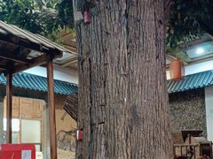 -石马湾山里菜