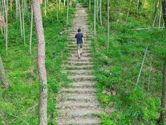 -素山寺森林公园