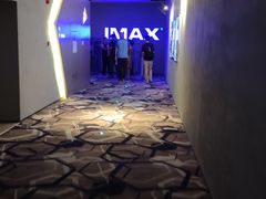 -星河寰宇IMAX影城(星河WORLD·COCO Park店)
