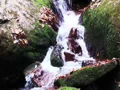 -五女峰国家森林公园