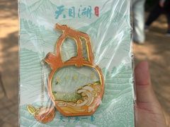 -天目湖山水园
