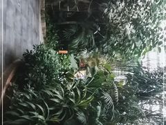 -滕头生态酒店(奉化店)